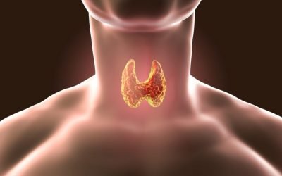 5 coisas que você precisa saber sobre a tireoide